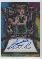 Shawn Bradley #/25