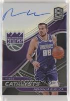 Nemanja Bjelica #/49