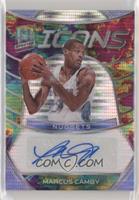 Marcus Camby #/75