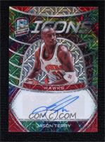 Jason Terry #/25