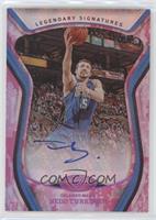 Hedo Turkoglu #/25