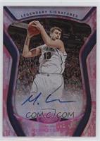 Mehmet Okur #/25