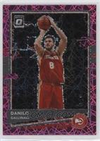 Danilo Gallinari #/79