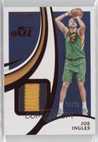 Joe Ingles #/25