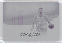 Hedo Turkoglu #/1