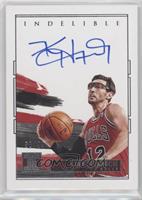 Kirk Hinrich #/99