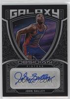 John Salley #/149