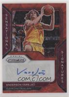 Anderson Varejao