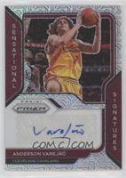 Anderson Varejao #/25