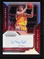 Anderson Varejao