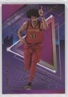 Jarrett Allen #/49