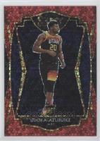 Premier Level - Udoka Azubuike #/49