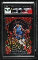 Concourse - Giannis Antetokounmpo [HGA 9 MINT] #/49