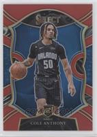 Concourse - Cole Anthony #/199