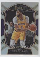 Concourse - Anthony Davis