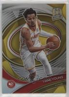 Variation - Trae Young #/10