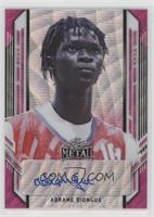 Adrame Diongue #/20