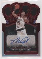 Marcus Camby #/49