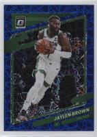 Jaylen Brown