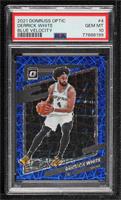 Derrick White [PSA 10 GEM MT]