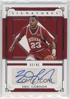 Eric Gordon #/45