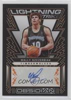 Wally Szczerbiak #/50