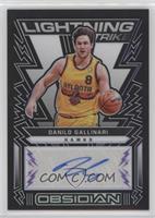 Danilo Gallinari #/75