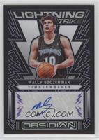 Wally Szczerbiak #/75