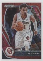Trae Young #/88