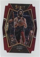 Premier Level - Ricky Rubio #/175