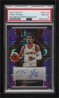 Trae Young [PSA 8 NM‑MT] #/15