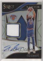 Taj Gibson #/199