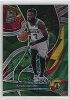 Jaylen Brown #/75