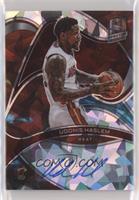 Udonis Haslem #/49