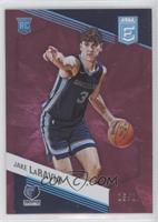 Rookies - Jake LaRavia #/17