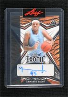 Armando Bacot [Uncirculated] #/1