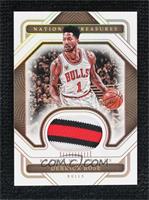 Derrick Rose #/25