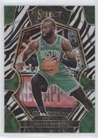 Premier Level - Jaylen Brown