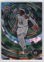 Robert Williams III #/49