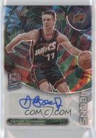 Detlef Schrempf #/49