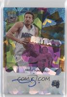 Hedo Turkoglu [EX to NM] #/49