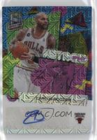 Carlos Boozer #/25