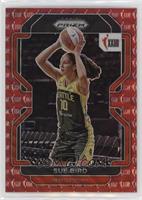 W25 - Sue Bird