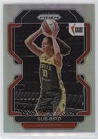 W25 - Sue Bird