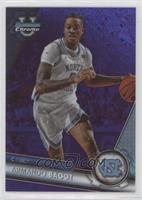 Armando Bacot #/399