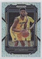 Jaylen Brown #/25