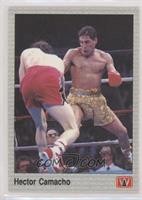 Hector Camacho [EX to NM]