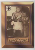 Sugar Ray Robinson (International Boxing Hall Of Fame) [EX to NM]