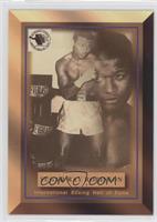 Sugar Ray Robinson (International Boxing Hall Of Fame)