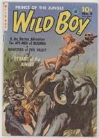 Wild Boy [Readable (GD‑FN)]